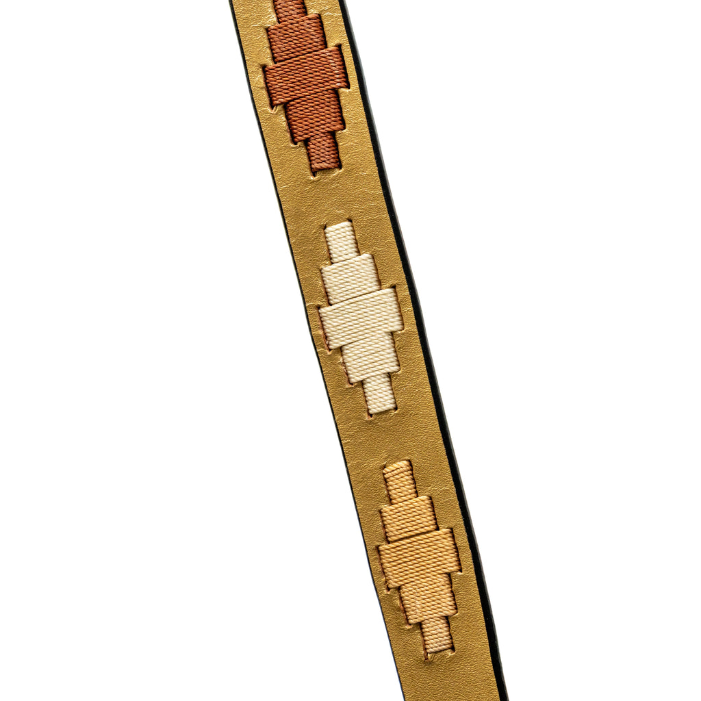 The Gilded Solstice Leather Dog Leash