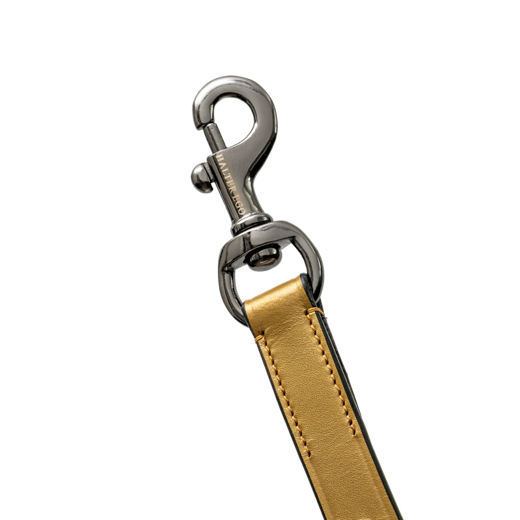 The Gilded Solstice Leather Dog Leash