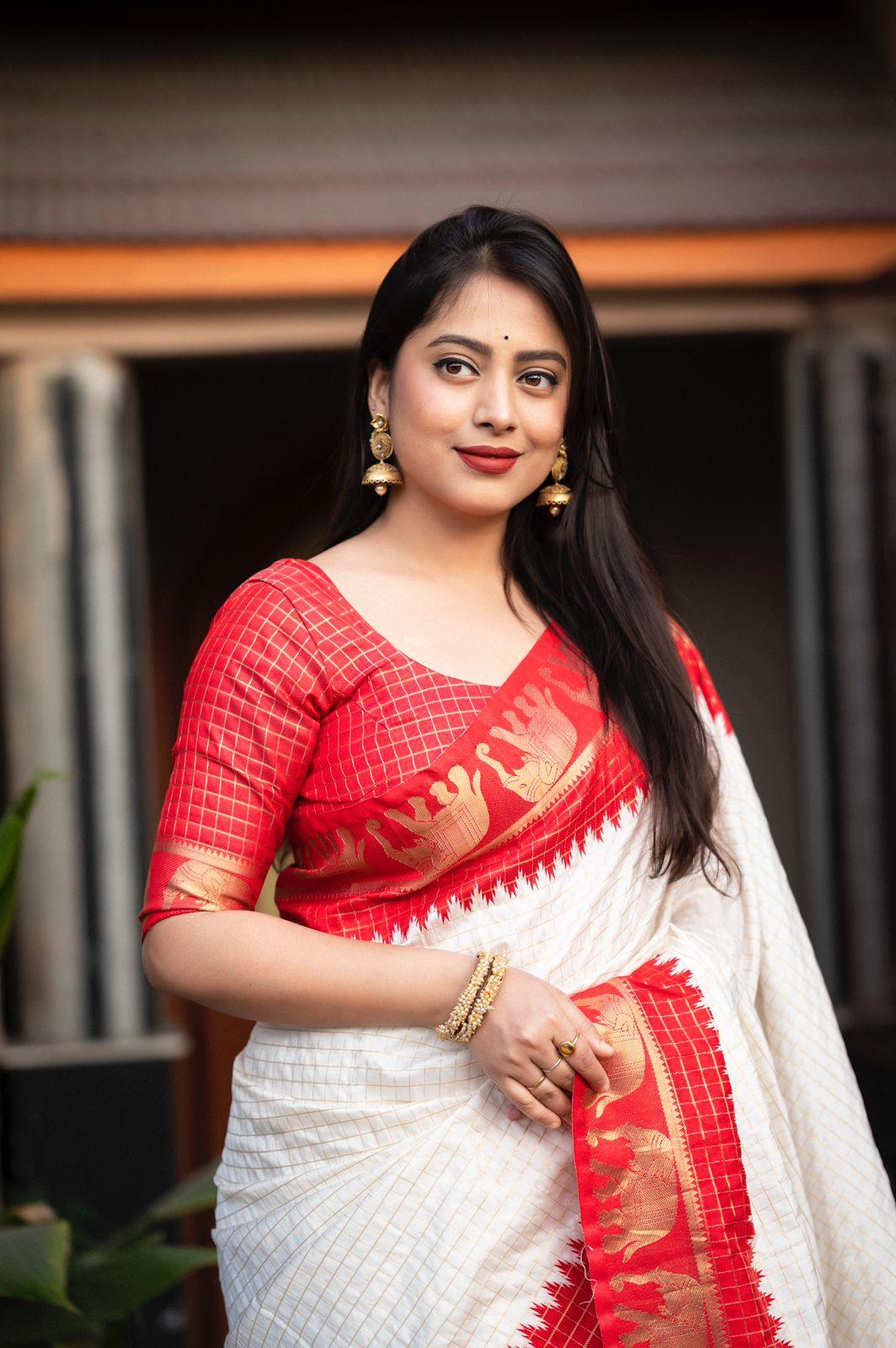 Red Silk Zari Woven Saree with Elephant Border and Rich Pallu