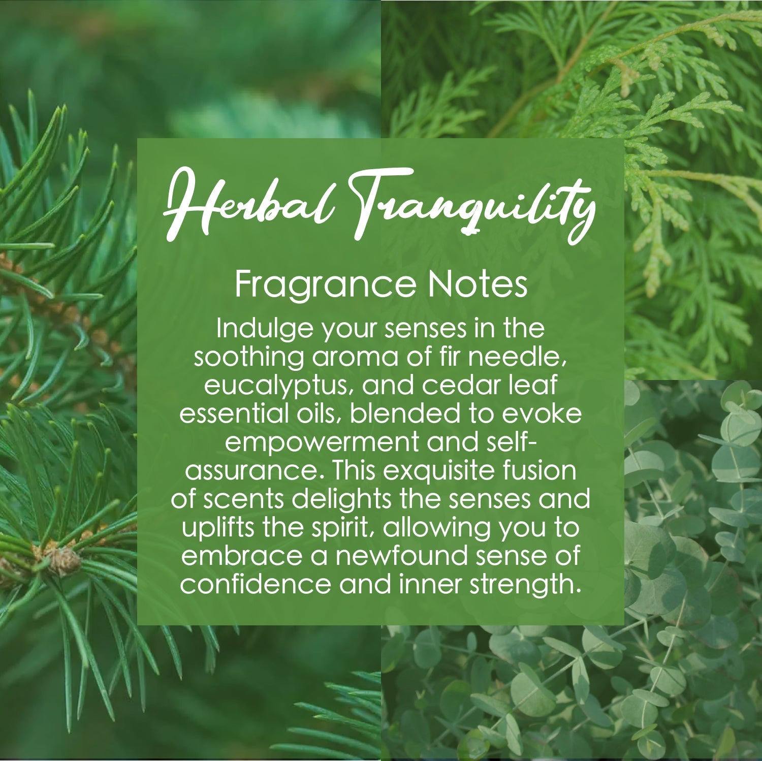 Solar Plexus Chakra Crystal-Enhanced Premium Coconut-Soy Wax Melts