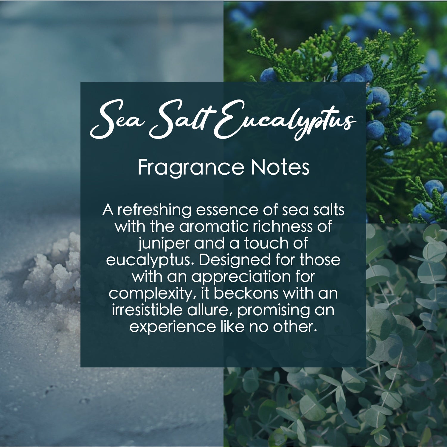 Sea Salt Eucalyptus Crystal-Enhanced Premium Coconut-Soy Wax Melts