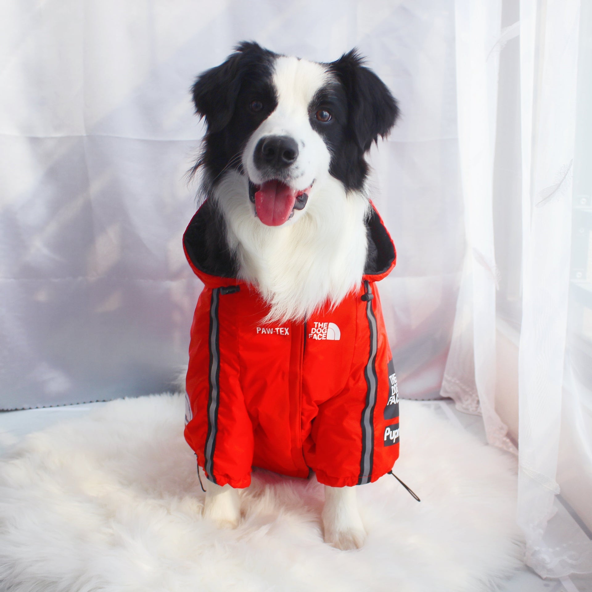 Yellow and Black Waterproof Dog Rain Jacket with Reflective Details - Image 31