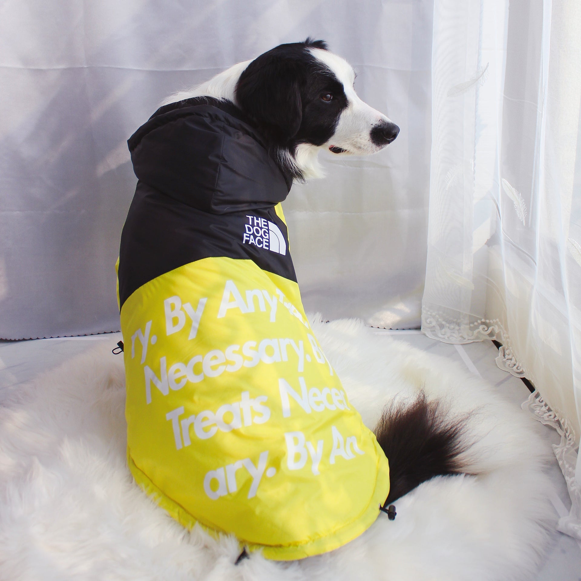 Yellow and Black Waterproof Dog Rain Jacket with Reflective Details - Image 28