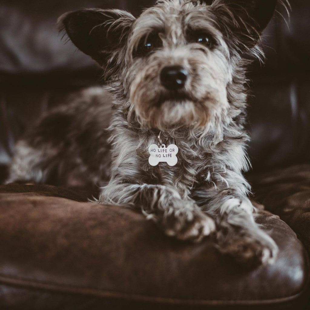 HO LIFE OR NO LIFE Bone-Shaped Pet Tag