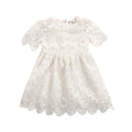 Classic Baby Girls Floral Lace Party Dress with Headband