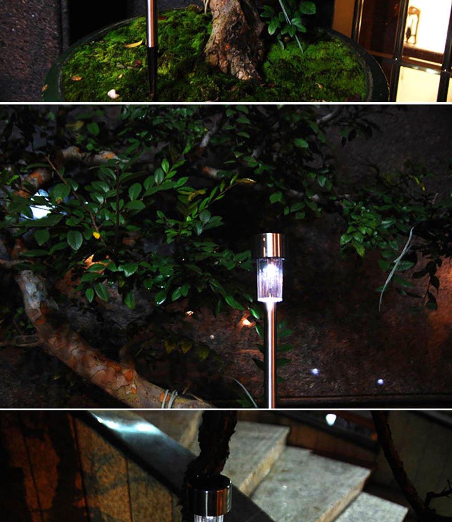 Premium Solar LED Garden Pathway Lights - Modern Stainless Steel