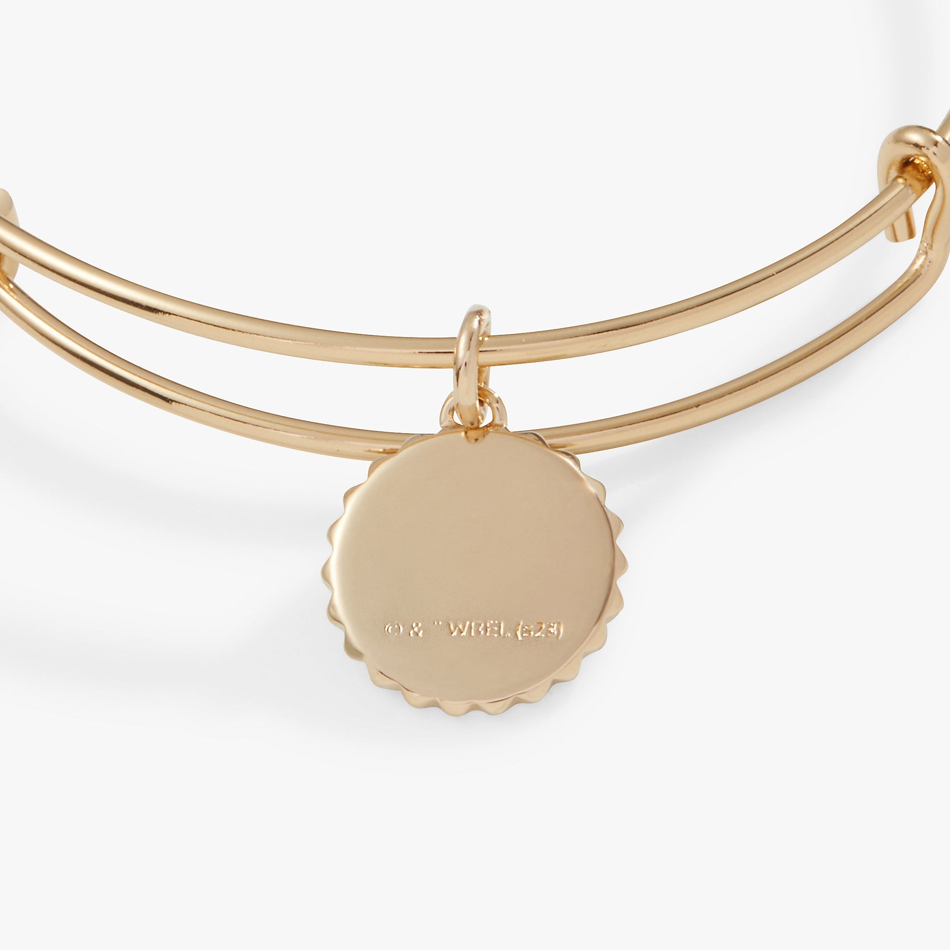 Gryffindor House Lion Charm Bangle for Hogwarts Alumni