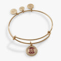 Alex And Ani Gryffindor house lion charm bangle
