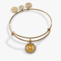 Gold tone Harry Potter Hufflepuff house charm bangle with badger seal and Hogwarts Alumni charm