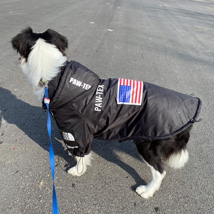 Yellow and Black Waterproof Dog Rain Jacket with Reflective Details - Image 16