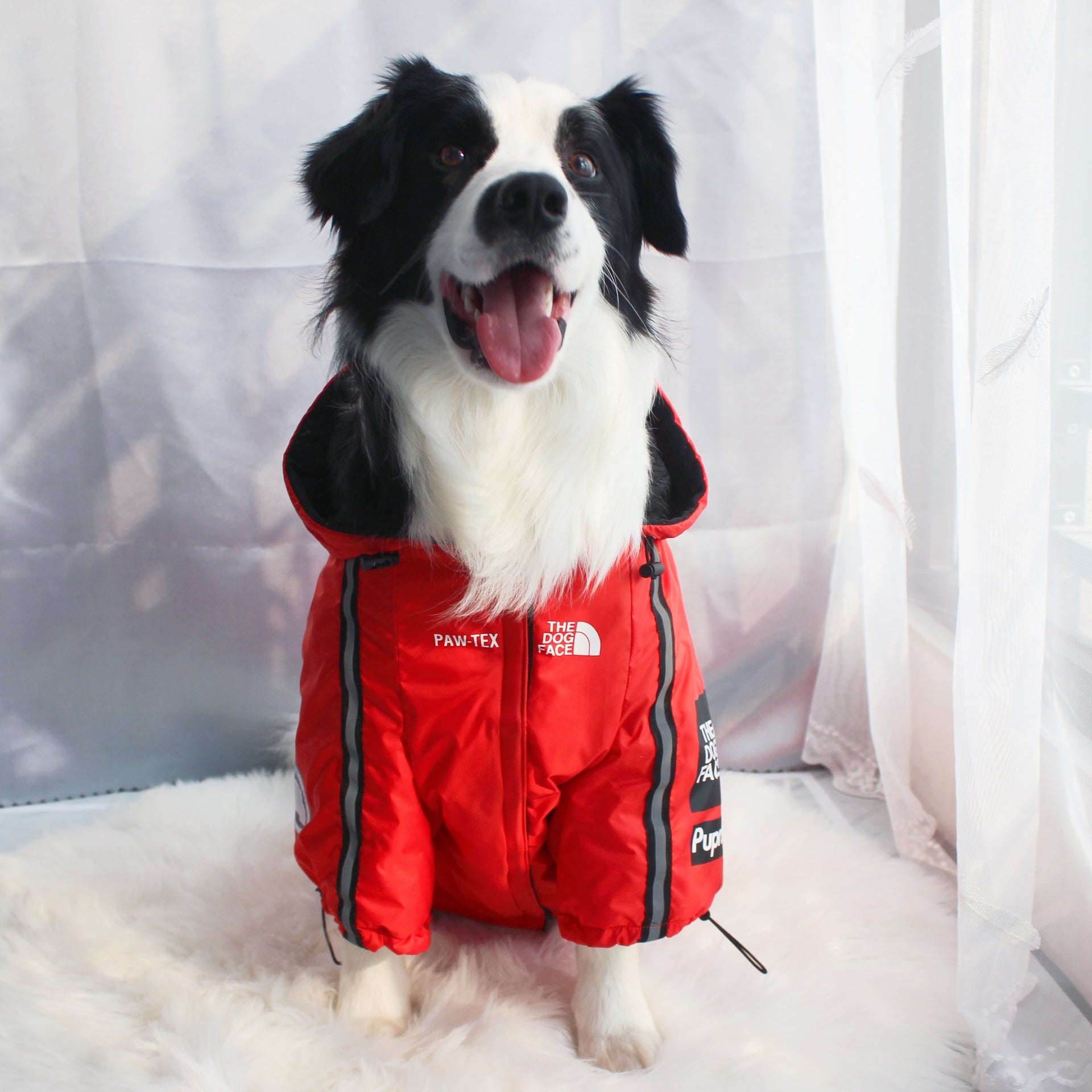 Yellow and Black Waterproof Dog Rain Jacket with Reflective Details - Image 33