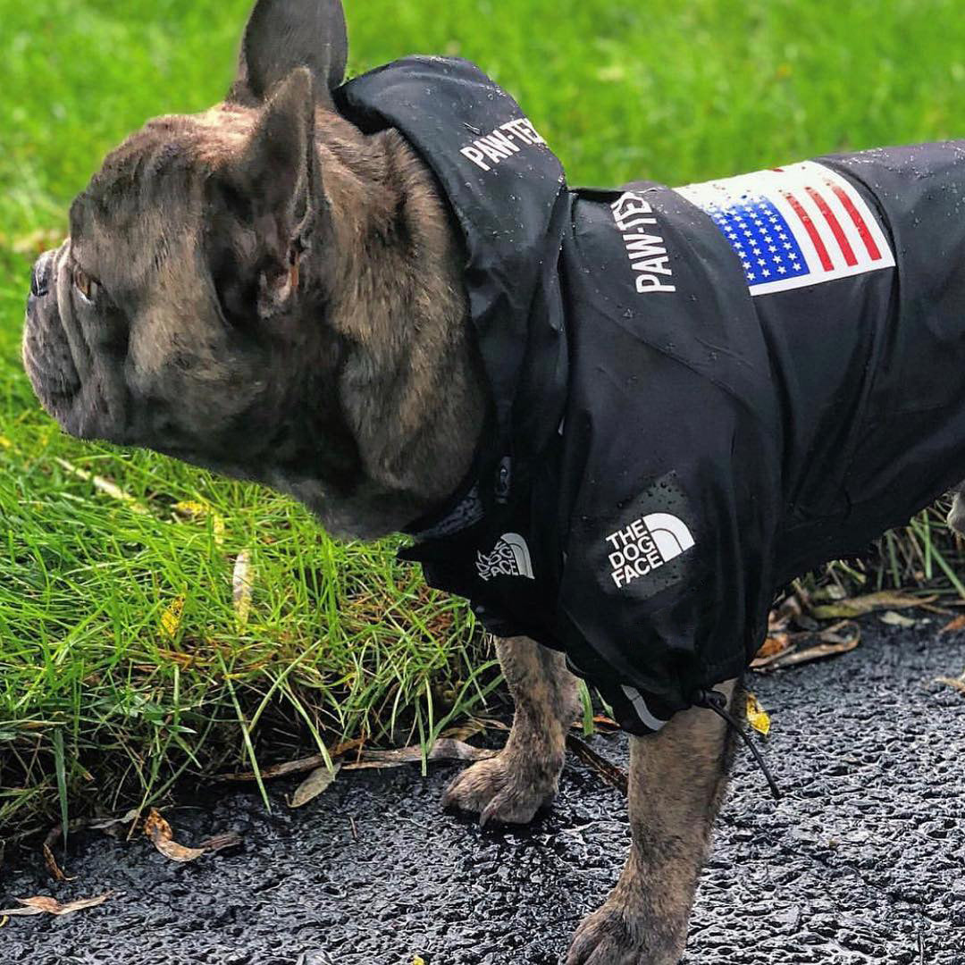 Yellow and Black Waterproof Dog Rain Jacket with Reflective Details - Image 34
