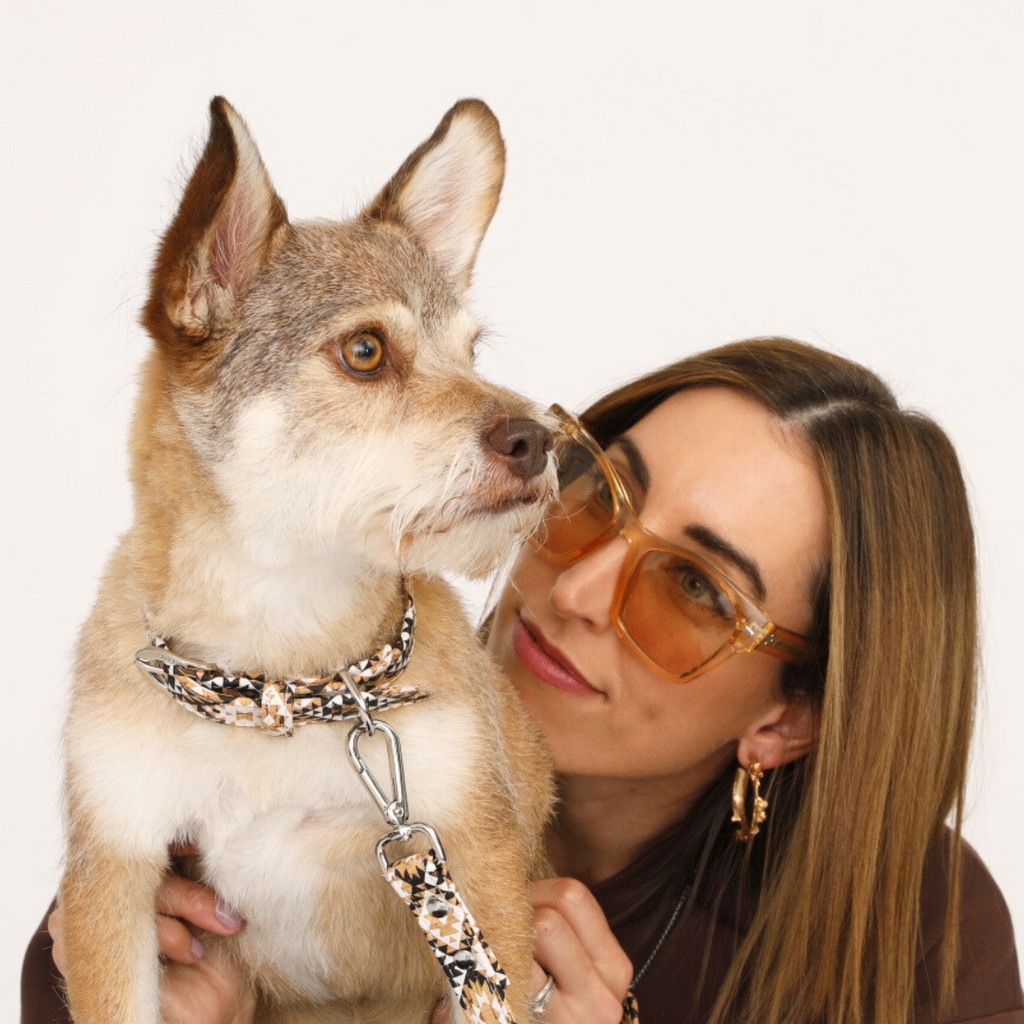 Diamond Howl Collar Charm Set