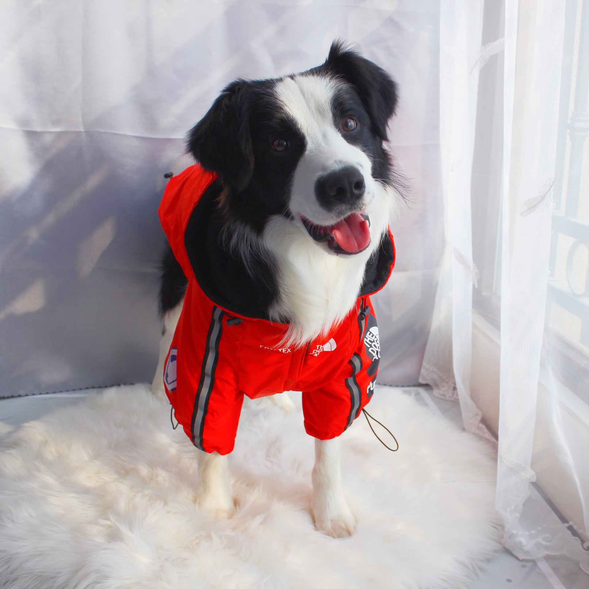 Yellow and Black Waterproof Dog Rain Jacket with Reflective Details - Image 30