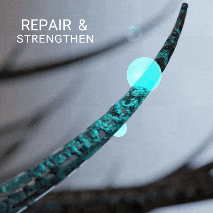 BRB Blonde Purple Shampoo