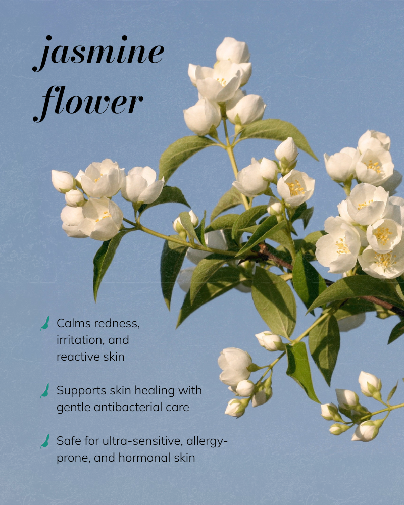 Jasmine Skincare Trial and Travel Kit for Sensitive Skin - Image 6