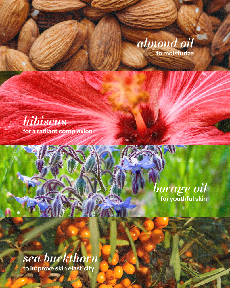 Hibiscus Nectar Radiant Glow Face Oil for Normal Skin - Image 5