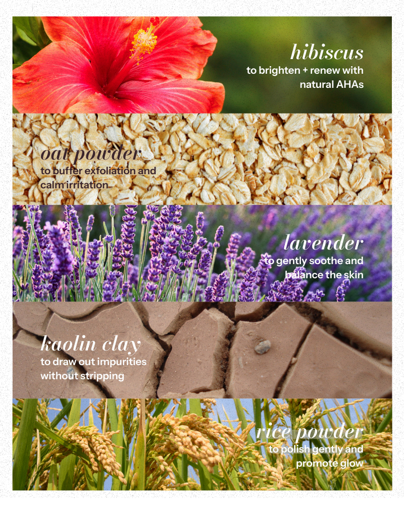 Hibiscus Powder Gentle Exfoliating Facial Cleanser for Normal Skin - Image 4