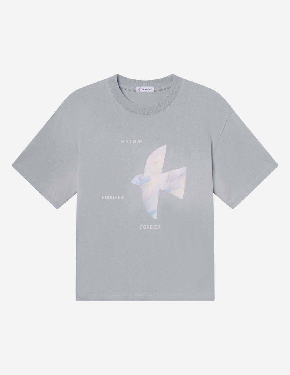 His Love Endures Forever Heavyweight Cotton Streetwear Tee