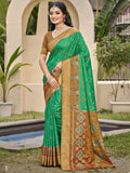 Brown Pochampalli silk saree with matching blouse