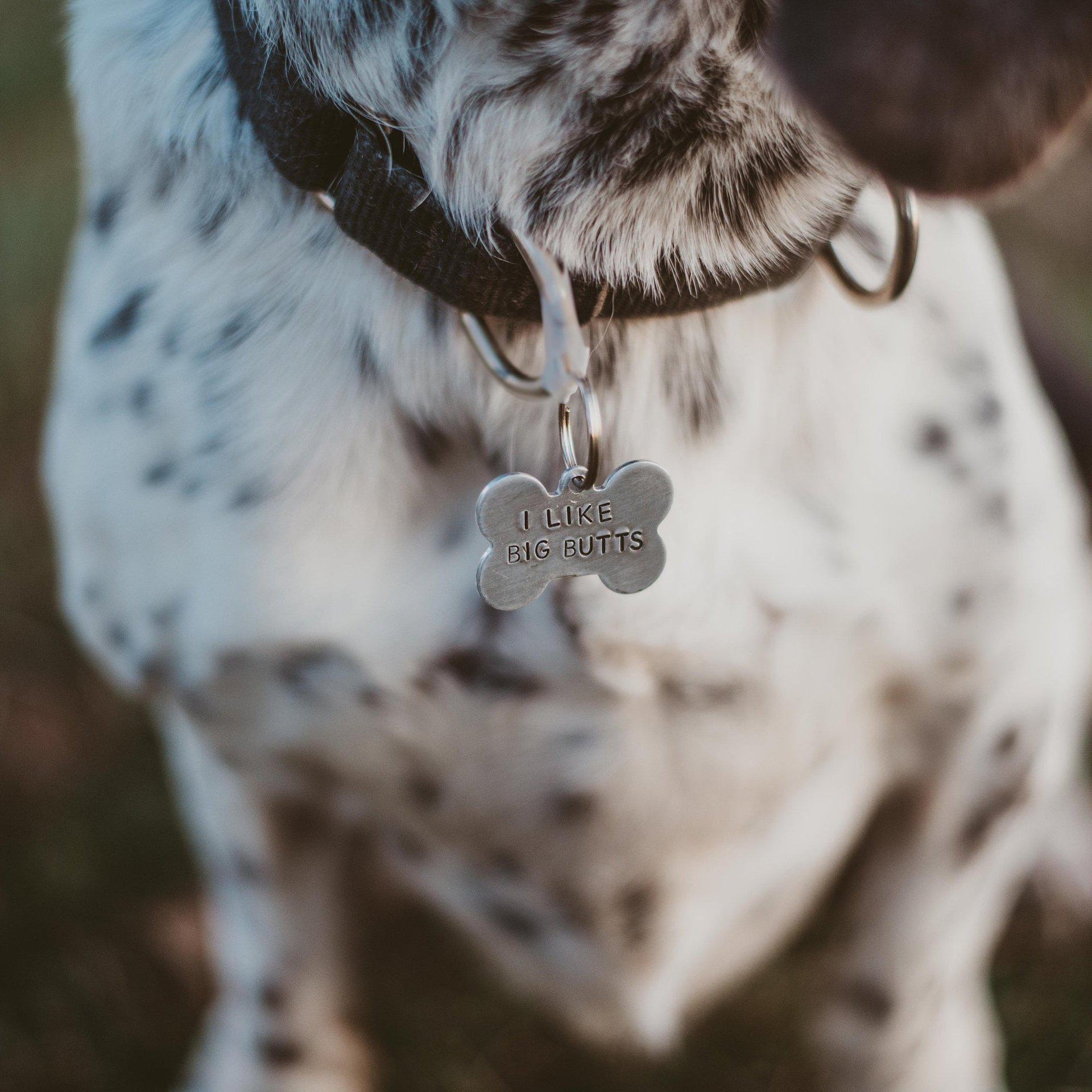 I LIKE BIG BUTTS Bone-Shaped Pet Tag