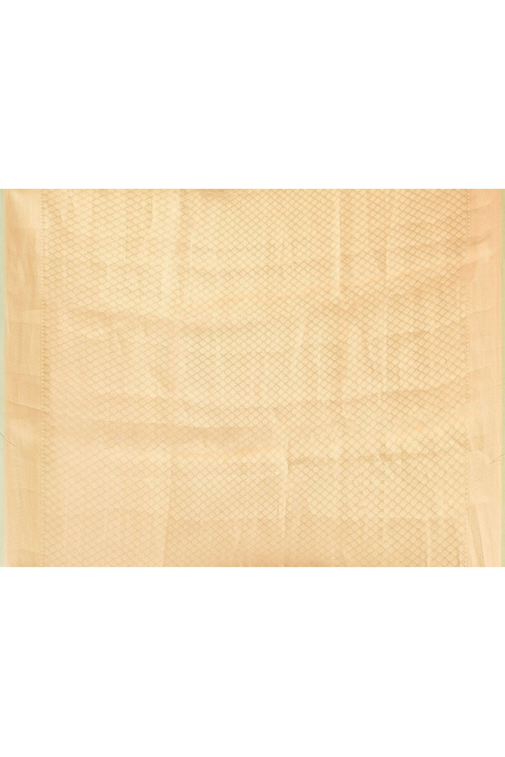 Green Pure Banarasi Tissue Saree