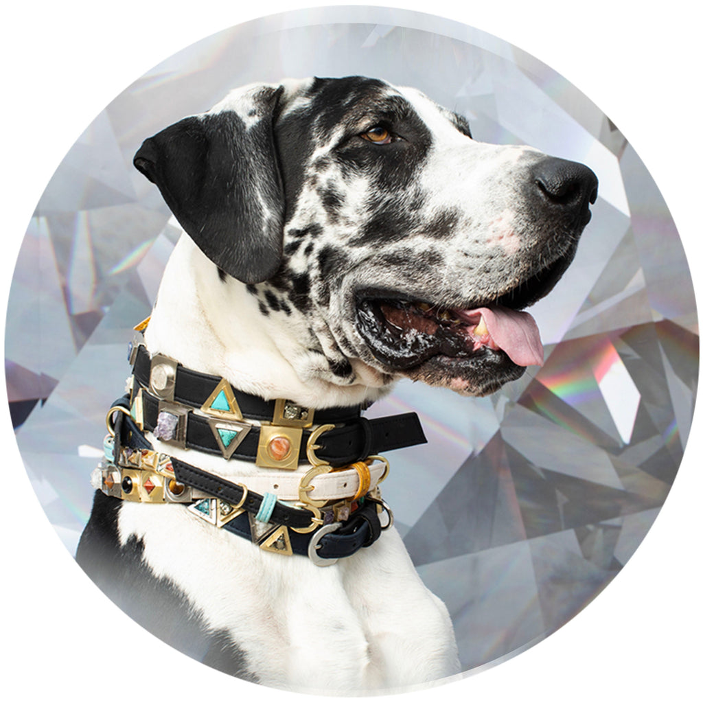 Sky Galaxy Collar Charm Set