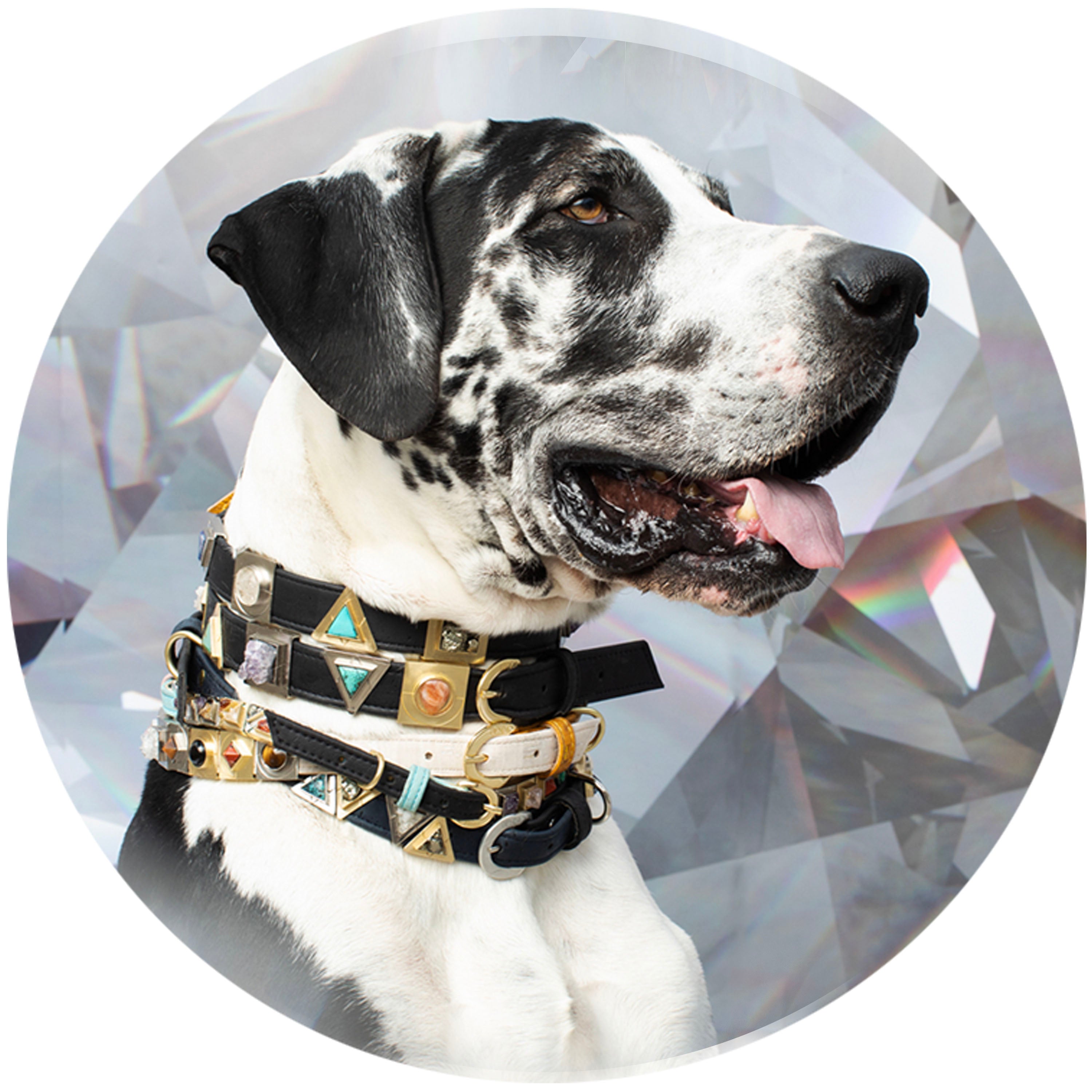 Diamond Cork Leather Collar