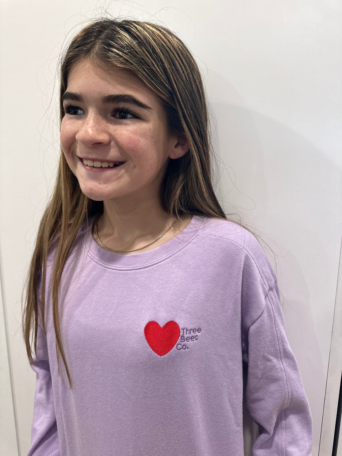 What is Love 1 Corinthians Youth Sweatshirt
