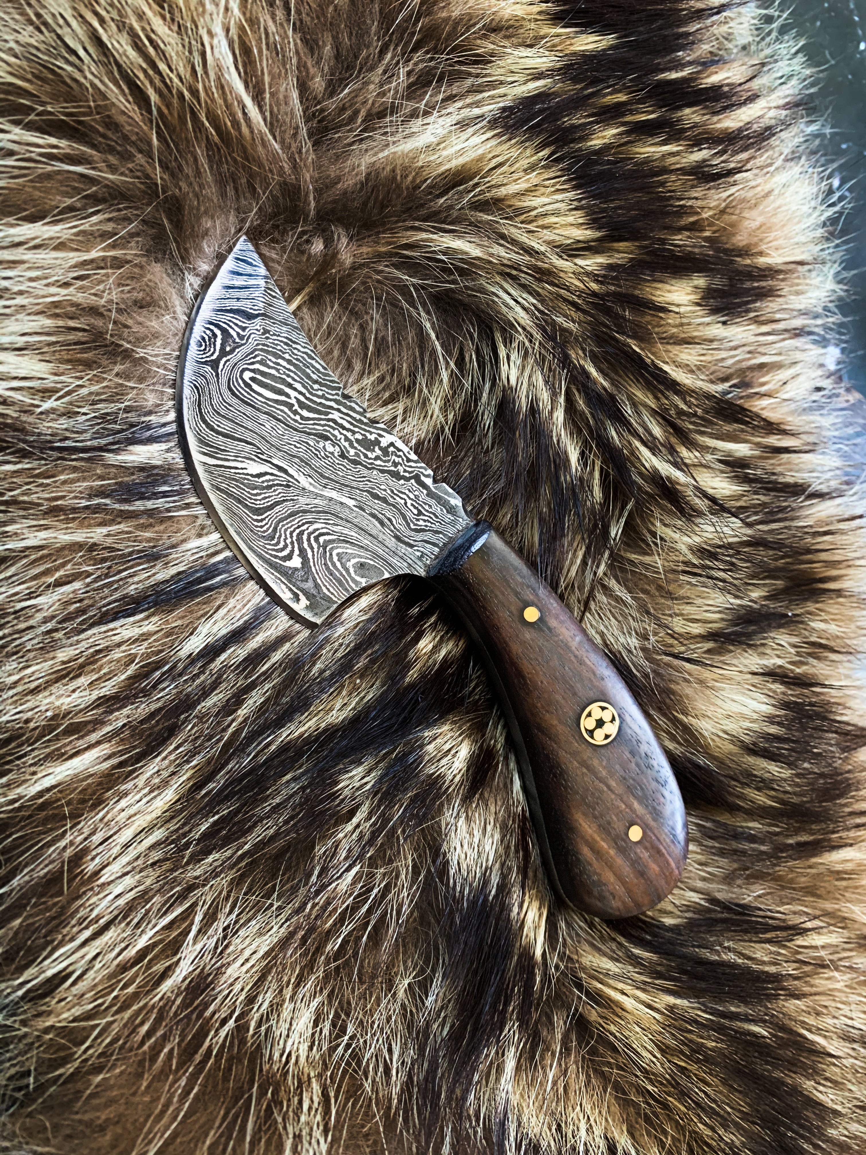 Damascus Steel EDC Pocket Knife with Walnut Wood Handle - 6 Inch