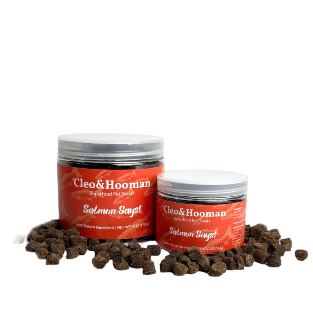 Salmon Says! Superfood Pet Treats - Natural Dog Snacks 6oz Bag