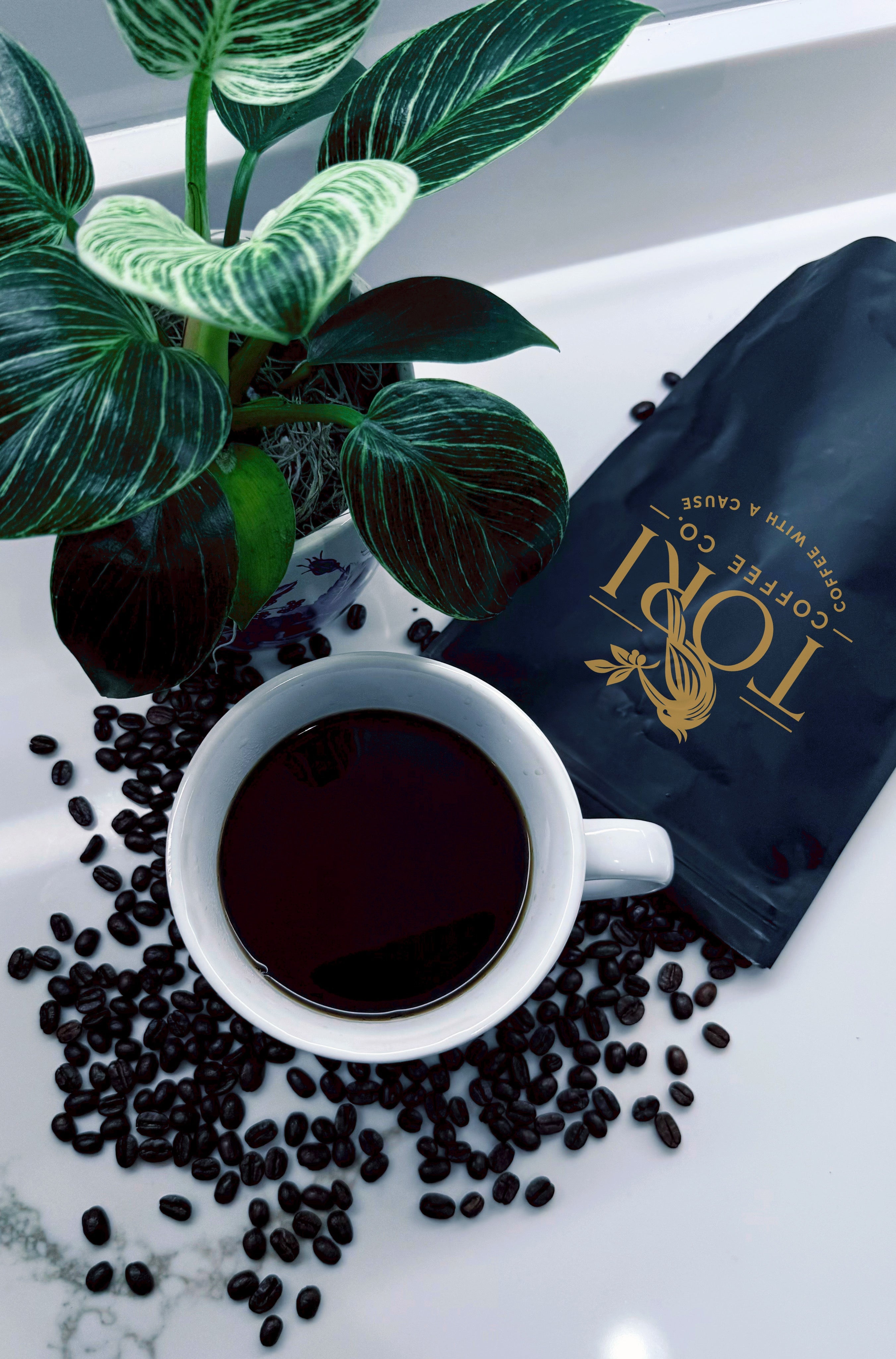 Breakfast Blend | Light Roast |12oz