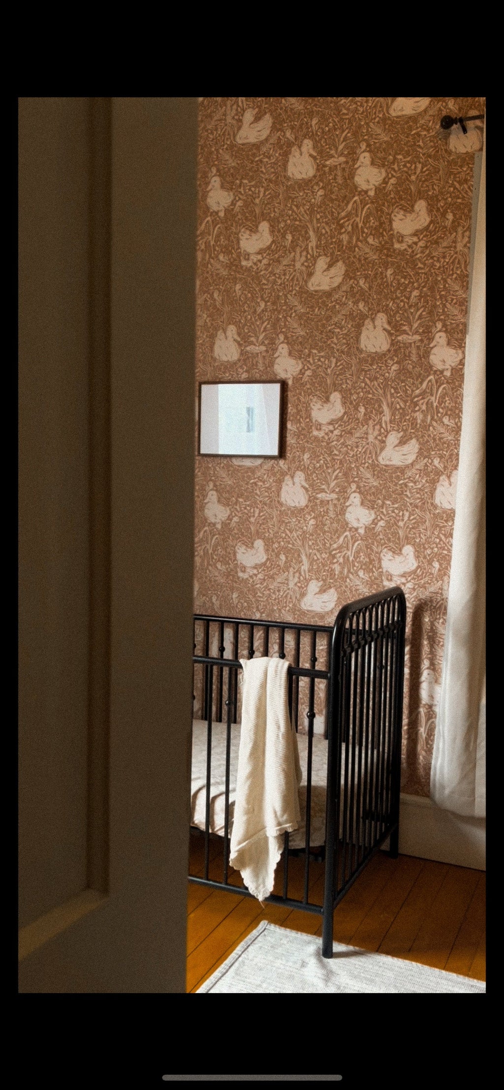 Hollingworth Floral Wallpaper in Pink, White, and Grey