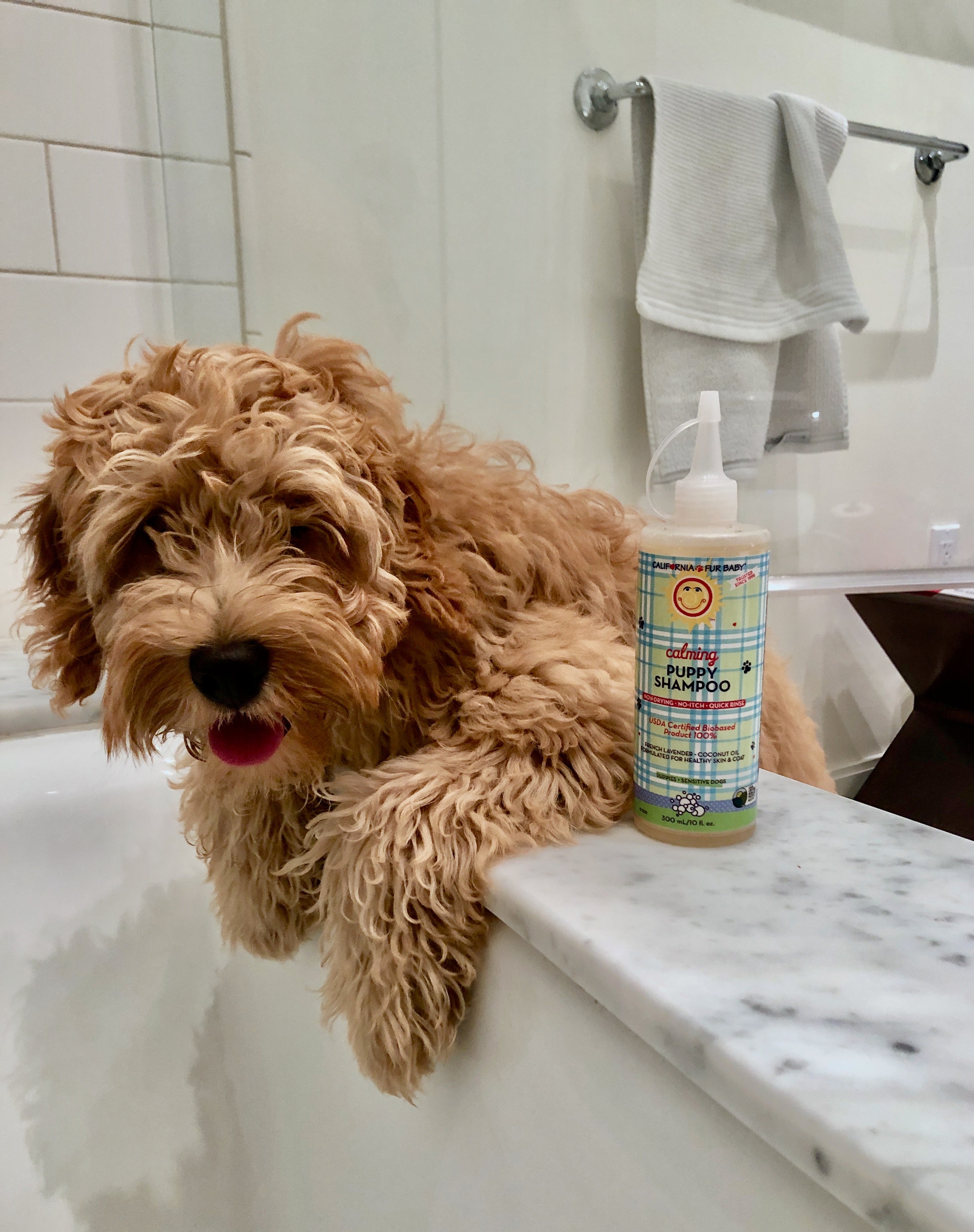 Calming™ Puppy + Dog Wash