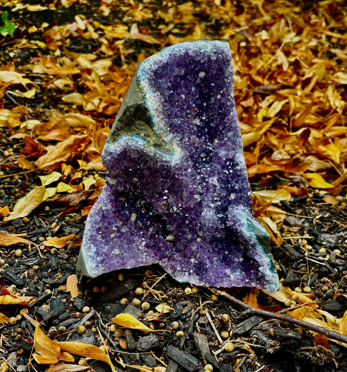 Statement Raw Amethyst Geode Cluster – Intuition, Peace & Tranquility (5 lb 1 oz)