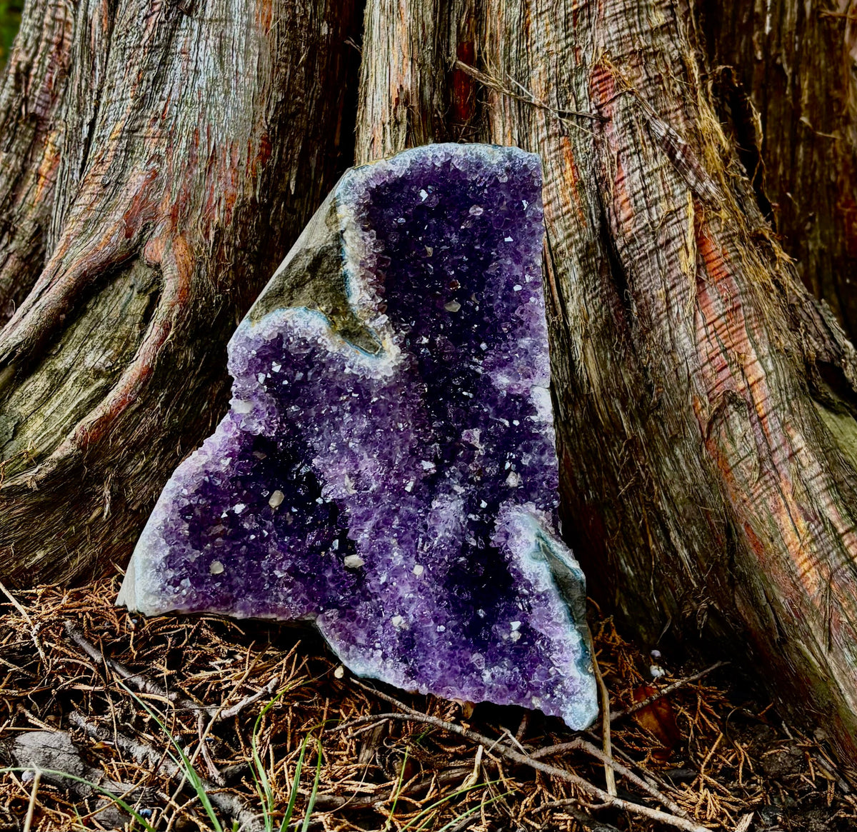 Statement Raw Amethyst Geode Cluster – Intuition, Peace & Tranquility (5 lb 1 oz)