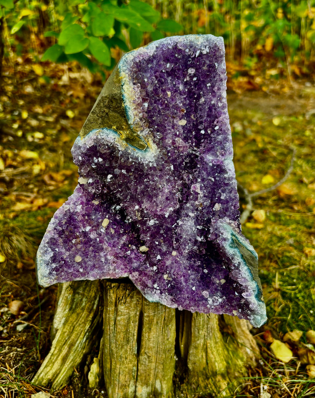 Statement Raw Amethyst Geode Cluster – Intuition, Peace & Tranquility (5 lb 1 oz)