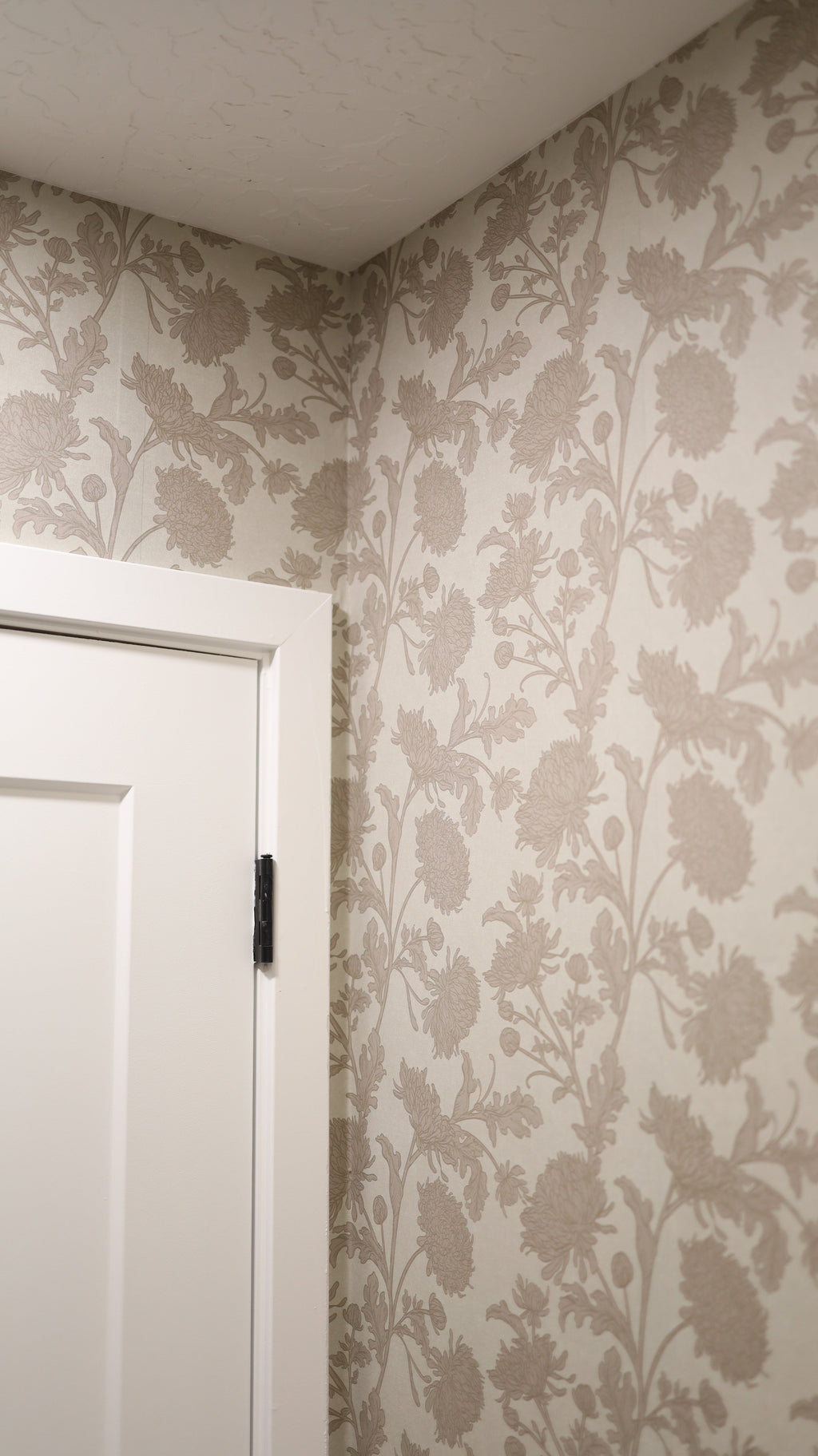 Archie Removable Peel and Stick Wallpaper by Taddy Mikelaites