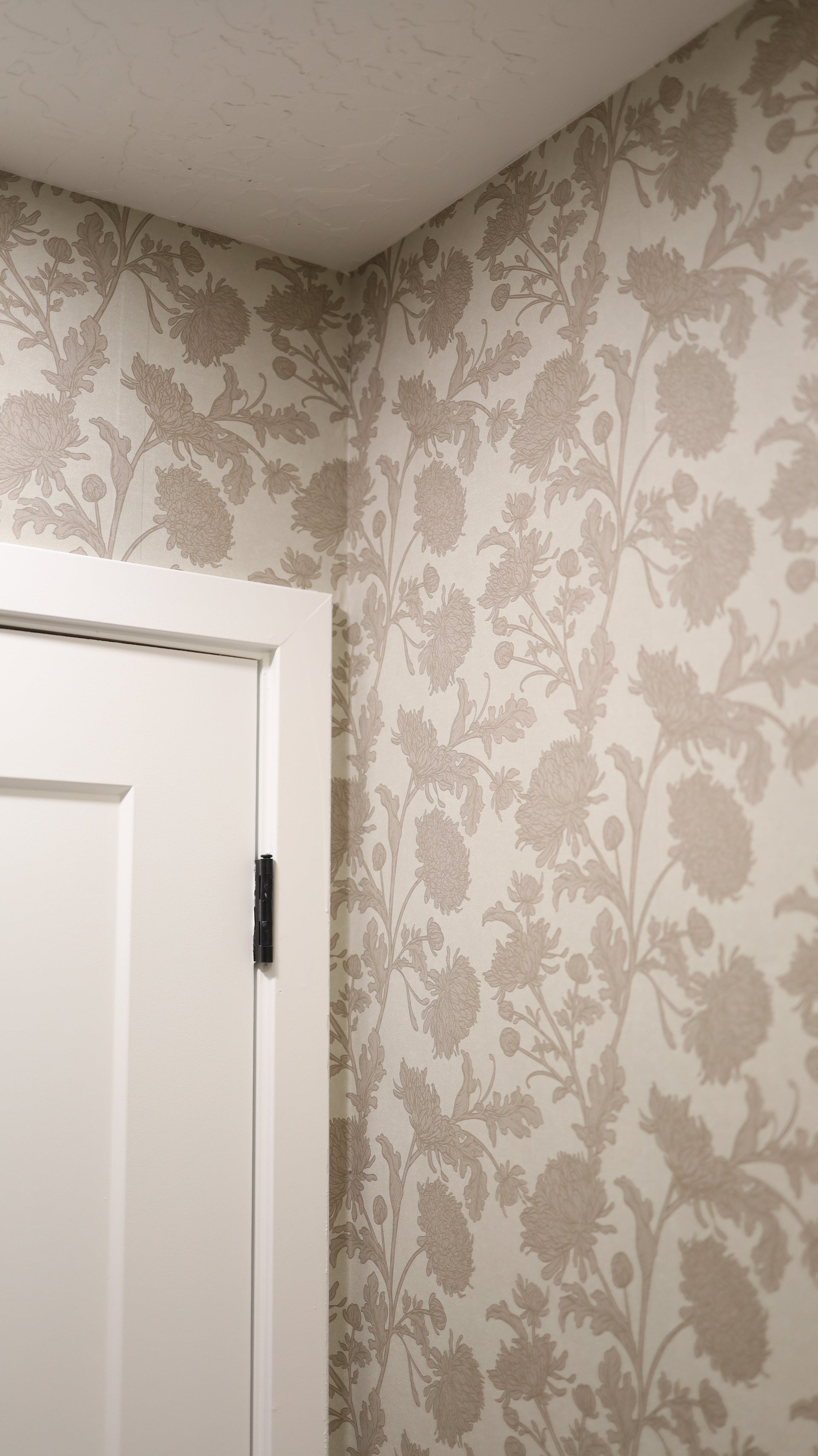 Archie Removable Peel and Stick Wallpaper by Taddy Mikelaites