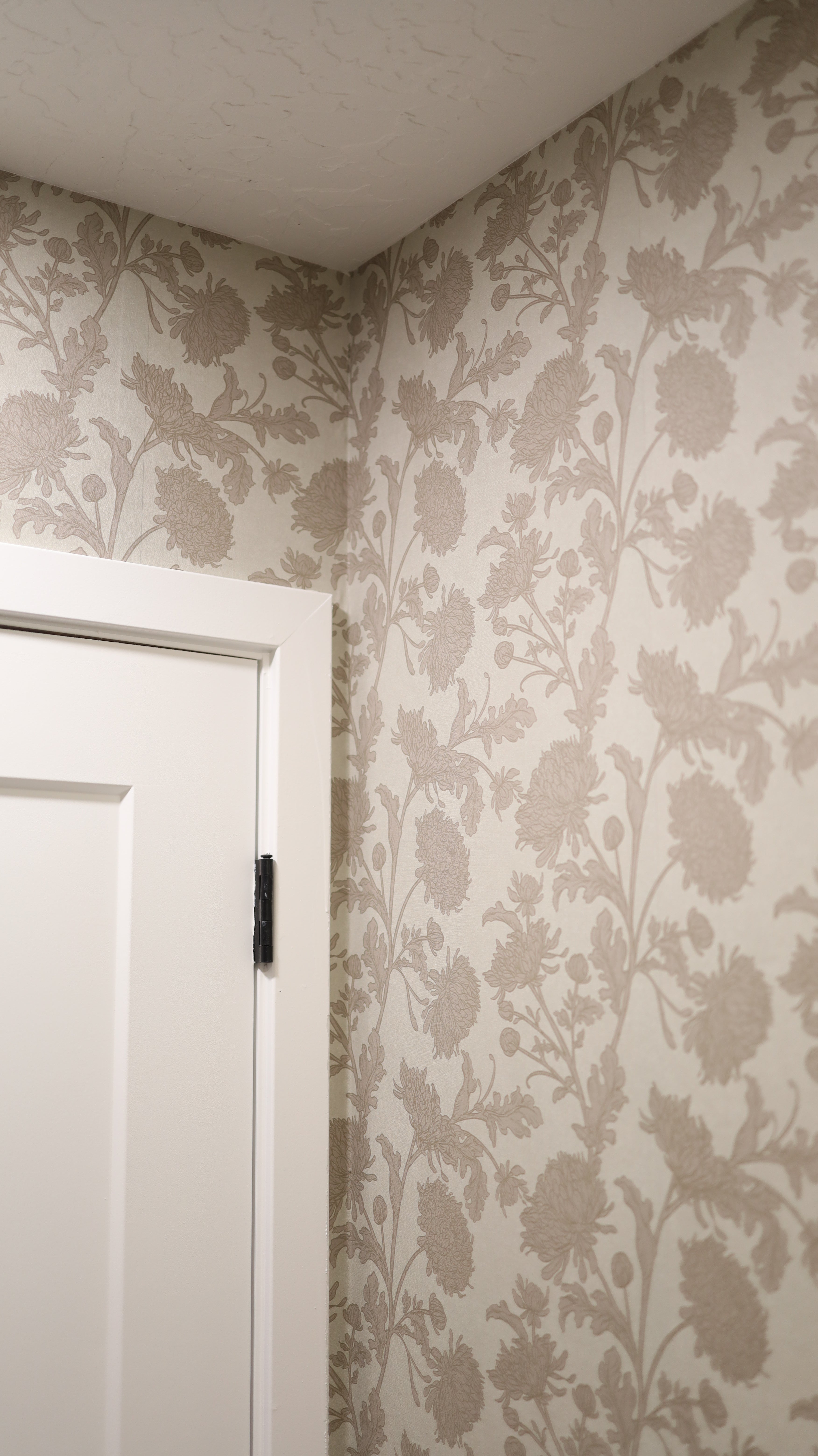 Archie Removable Peel and Stick Wallpaper by Taddy Mikelaites