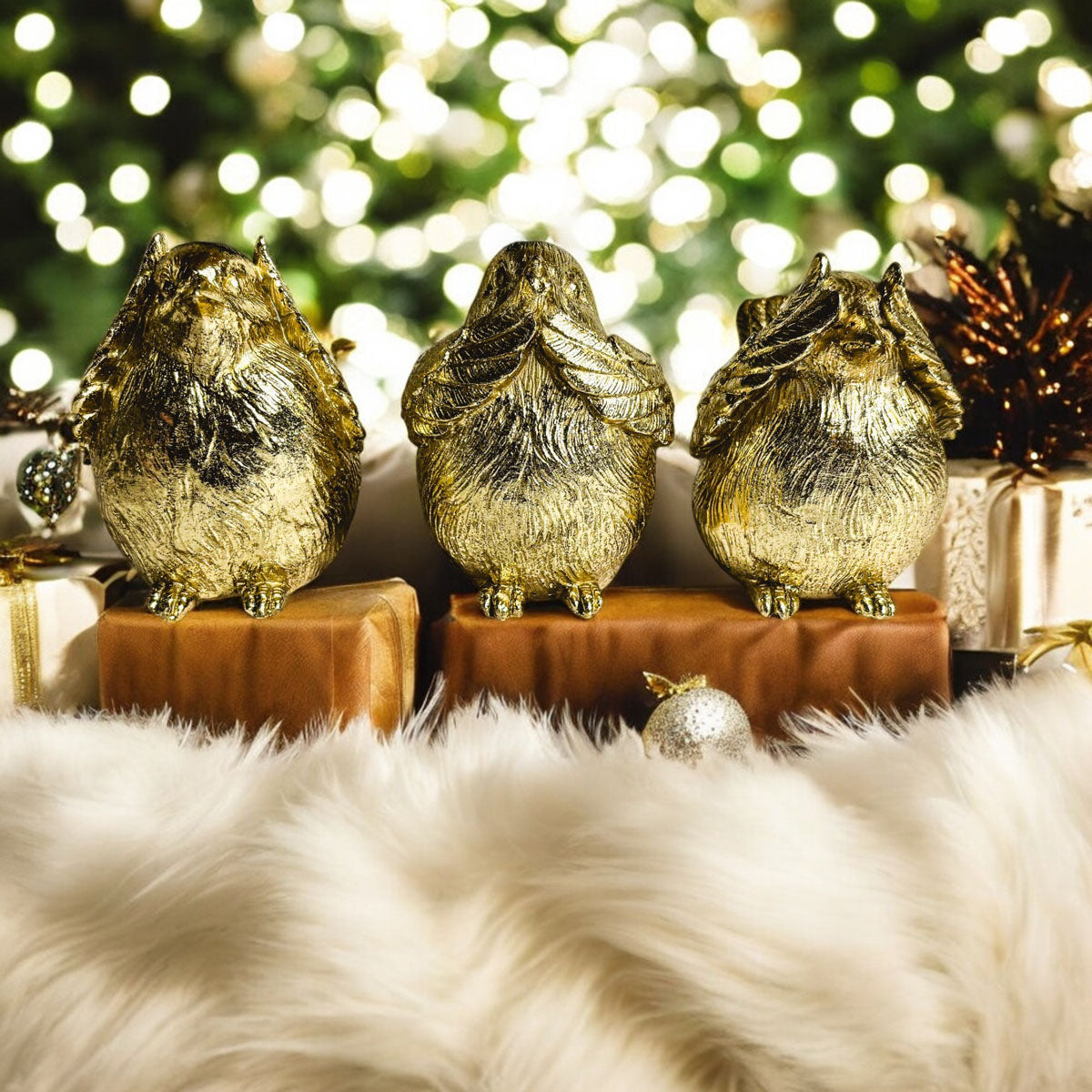 3 Wise Birds