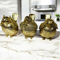 3 Wise Birds