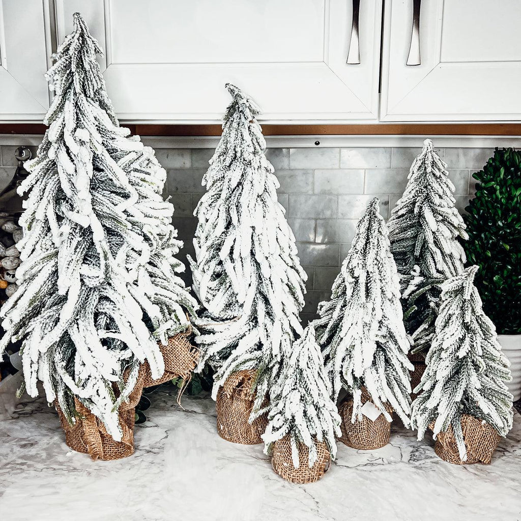 Snow Covered Trees OG