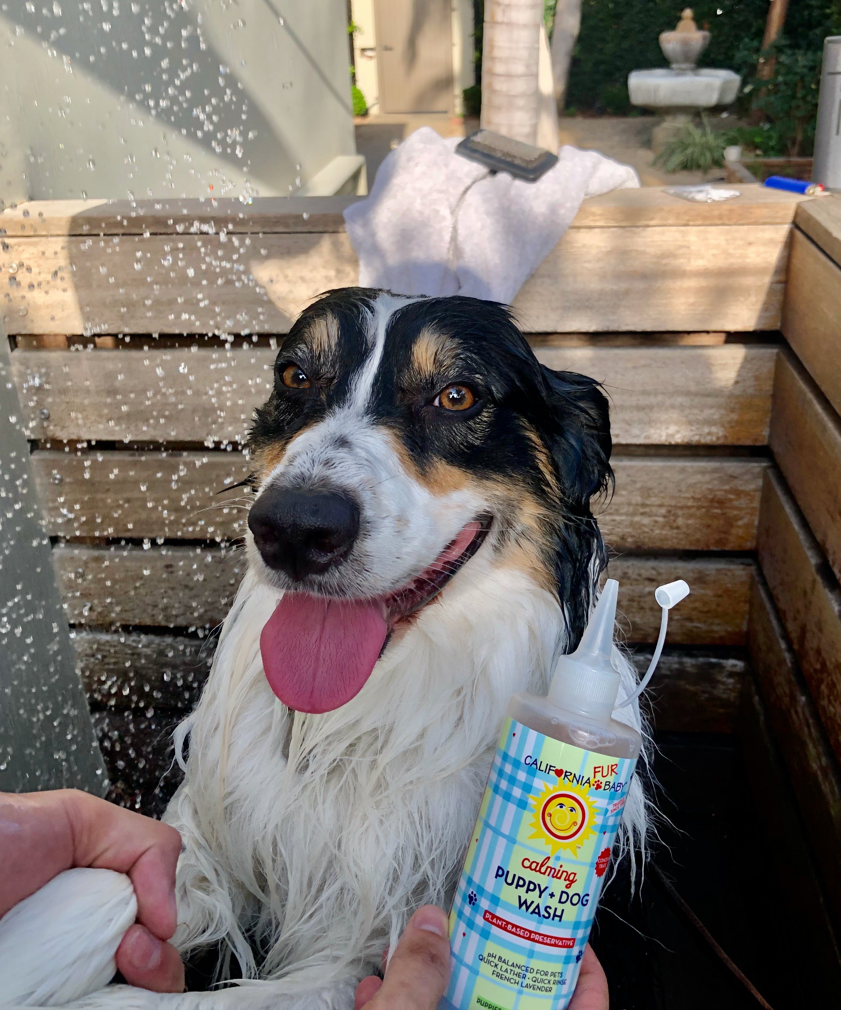 Calming™ Puppy + Dog Wash