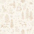 Boy Room Samples