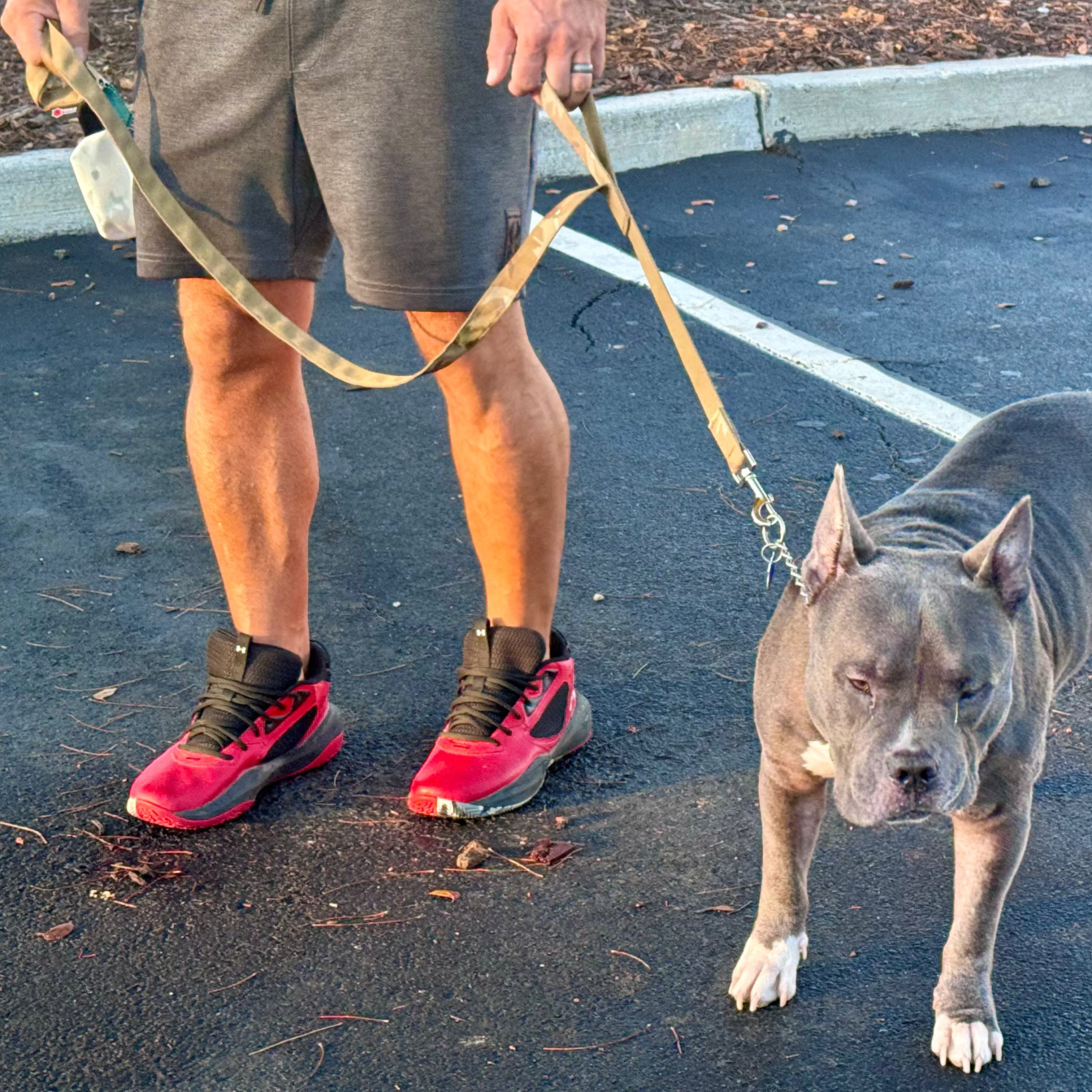 K9 Command Lead Dual Control 6-Foot Mil-Spec Dog Leash