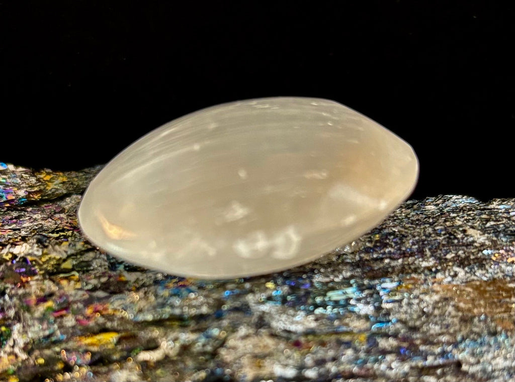 Selenite Palm Stone – 4cm (1.57") – Aura-Cleansing Crystal for Energy Healing & Clarity