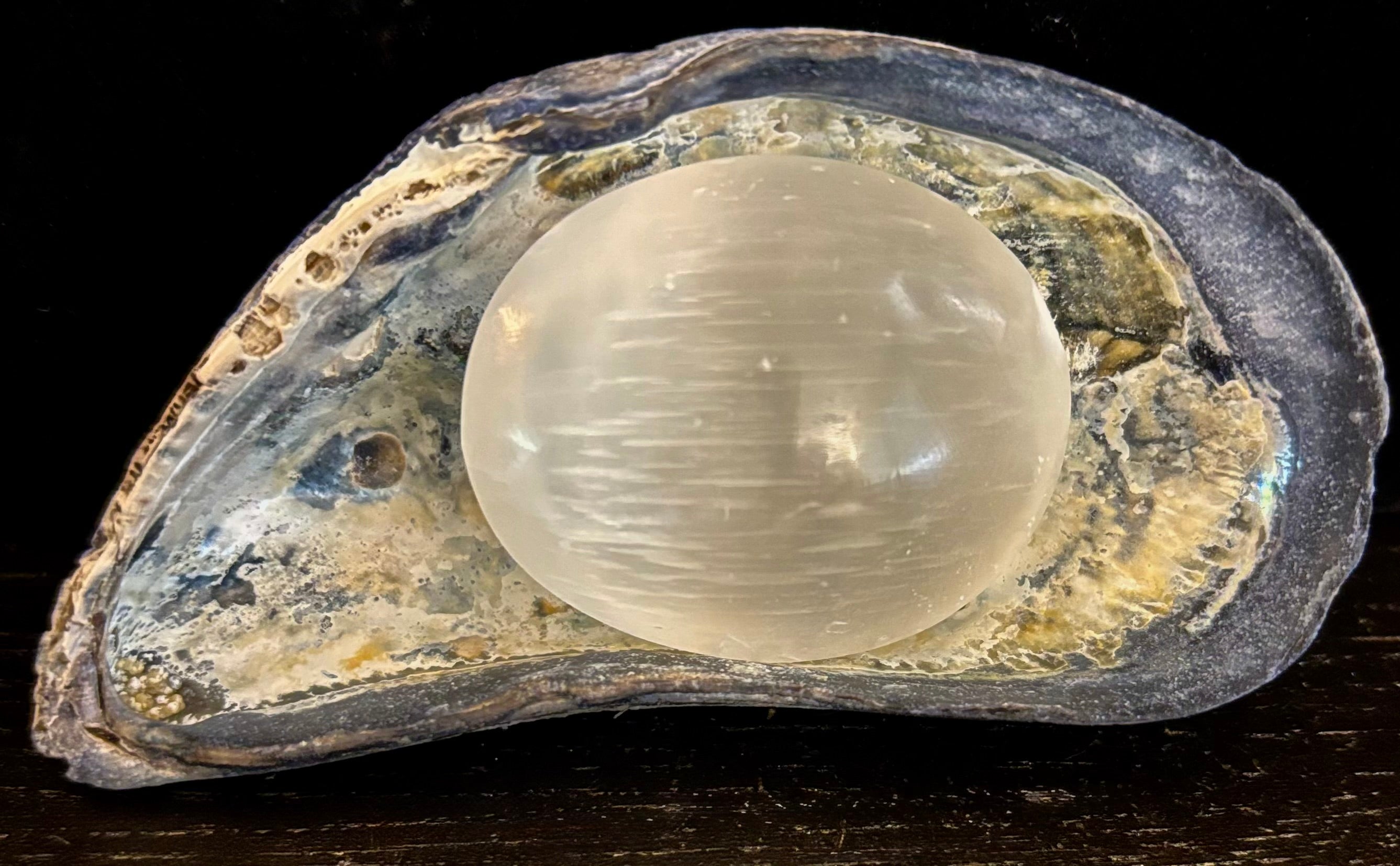 Selenite Palm Stone – 4cm (1.57") – Aura-Cleansing Crystal for Energy Healing & Clarity