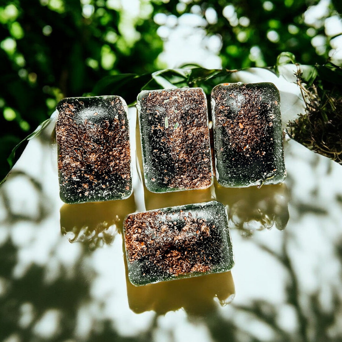 Packaged Wood Cabin soy wax melts on a wooden surface with green leaves, featuring a scent profile of citrus, cedar, and orange.