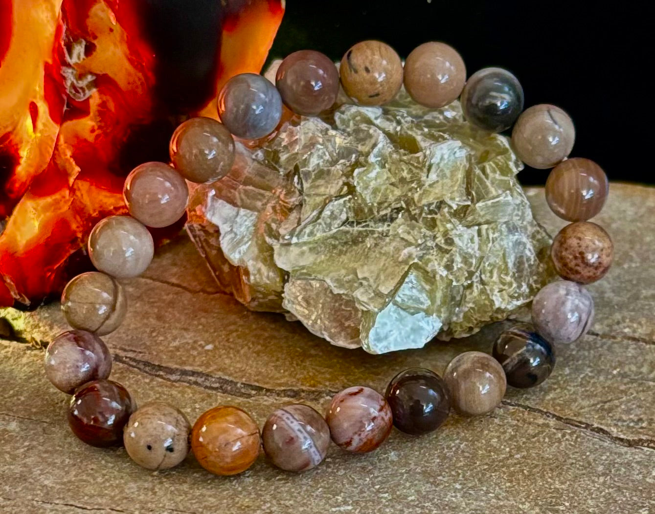 Petrified Wood Bracelet – 8mm Beads, Medium Wrists